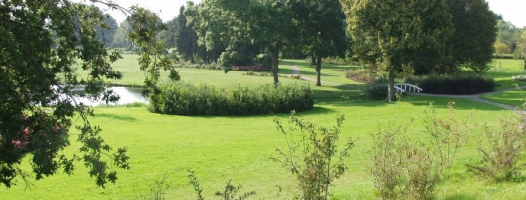 Gemeente Aalsmeer pakt Seringenpark aan